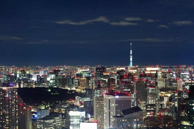 迷言：東京の夜景は残業でできている