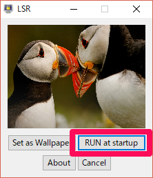 ソフトを起動した設定画面で、「RUN as startup」を選択