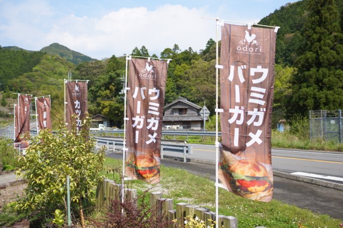 オドリ キッチン