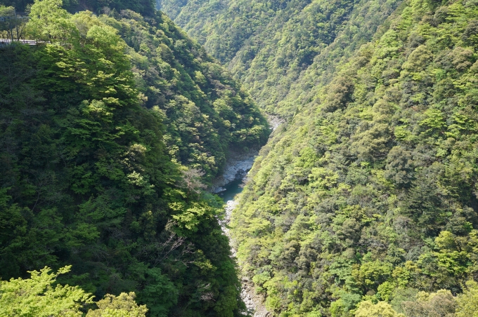 祖谷渓展望台から眺める祖谷渓