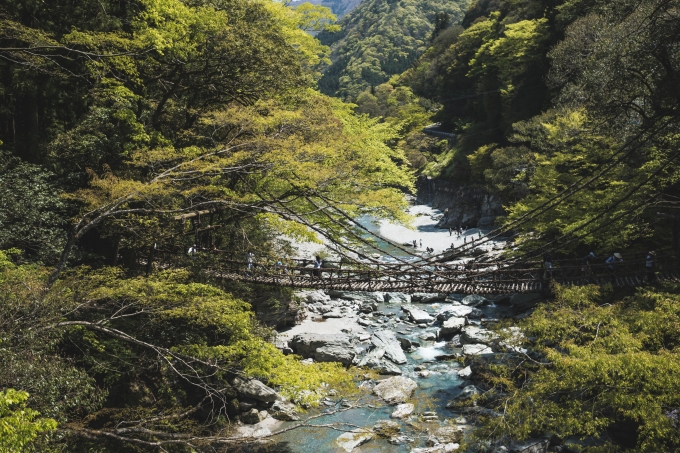 祖谷のかずら橋