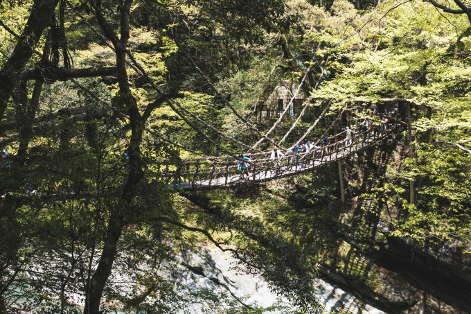 祖谷のかずら橋